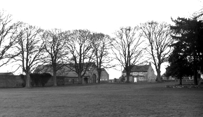 picture of NE corner of green, with trees